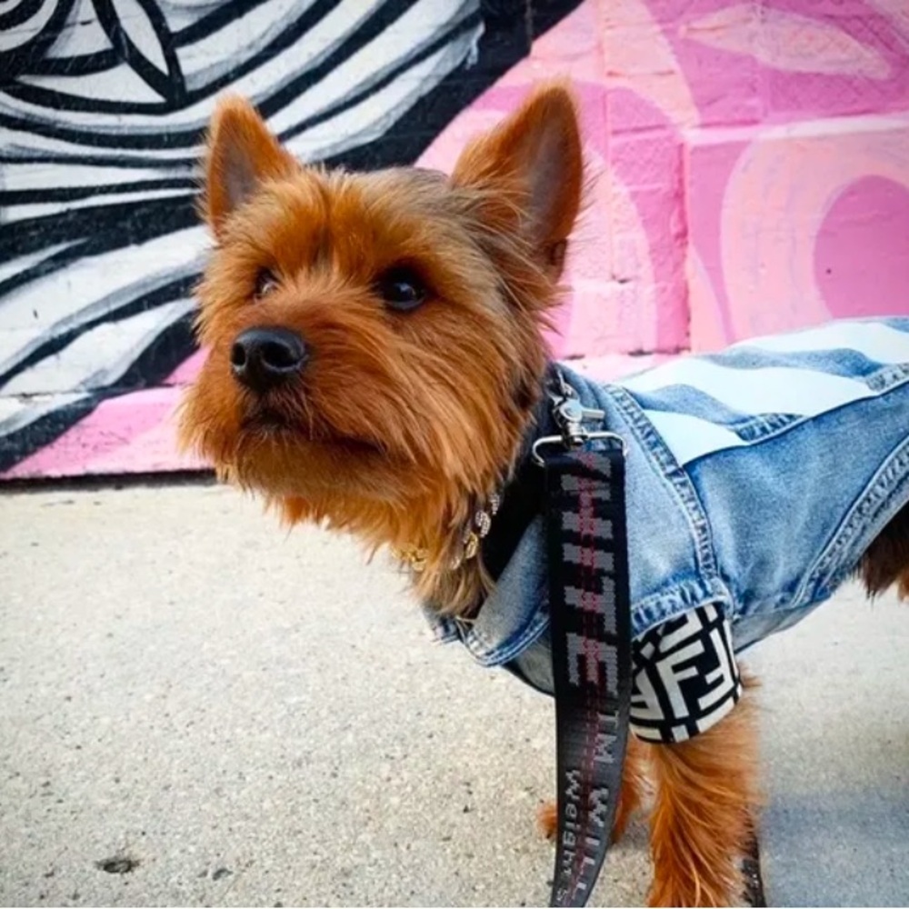Woof White logo denim vest for small Dogs